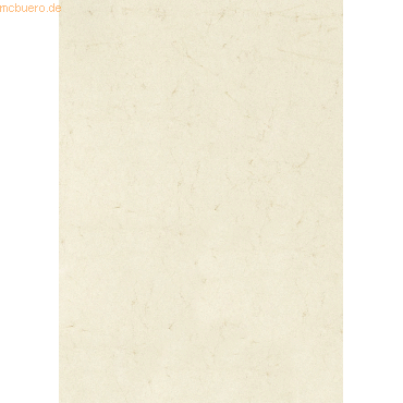 4005329065842 - 10 x Elefantenhaut 50x70cm 190 g qm weiß