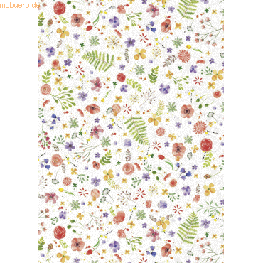 4005329131578 - 10 x Transparent-Papier 50x70cm 115g qm Blume 4005329131578 - 10 x Transparent-Papier 50x70cm 115g qm Blume