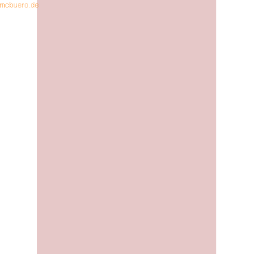 4011643968448 - 100 x Karton A4 200g qm rosa 4011643968448 - 100 x Karton A4 200g qm rosa