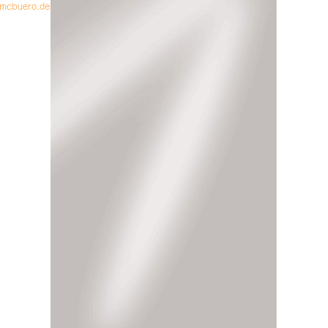 4011643777361 - 10 x Spiegelkarton A4 270g qm Starlight silver