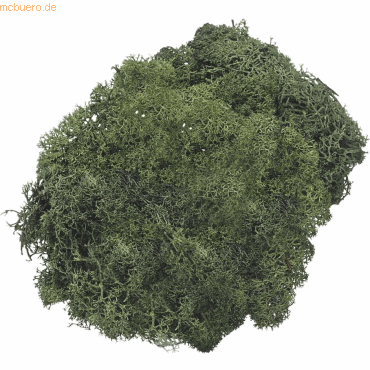 4011643074415 - Islandmoos tannengrün 250 g 4011643074415 - Islandmoos tannengrün 250 g