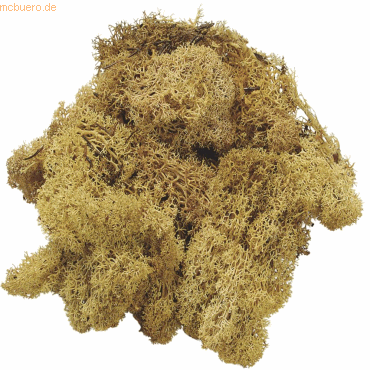 4011643028227 - Islandmoos natur hell 250 g 4011643028227 - Islandmoos natur hell 250 g