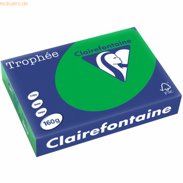 3329680100709 - 1007 A4 160g billiardgrün  3329680100709 Clairefontaine