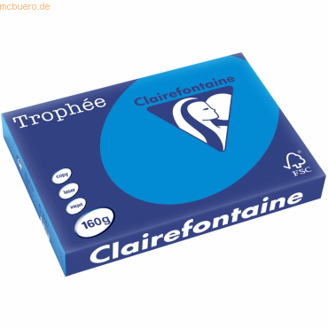 3329680101508 - 4 x Kopierpapier Trophee A3 160g qm VE=250 Blatt karibi