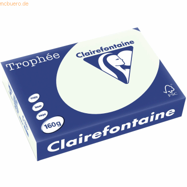 3329680105100 - Kopierpapier Trophee 1051C lindgrün pastell A4 160g 3329680105100 250 Blatt 3329680105100 - Kopierpapier Trophee 1051C lindgrün pastell A4 160g 3329680105100 250 Blatt