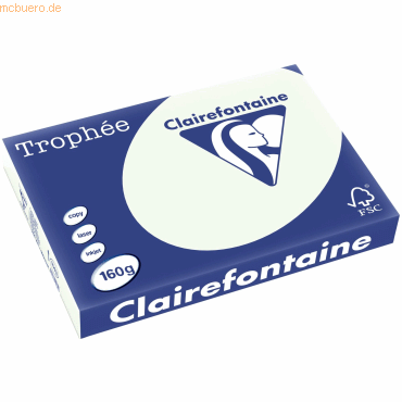 3329680114300 - 4 x Kopierpapier Trophee A3 160g qm VE=250 Blatt blaßgr