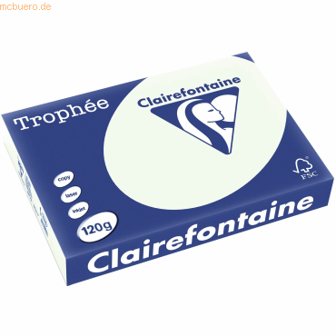 3329680124606 - Kopierpapier Trophee 1246C lindgrün pastell A4 120g  3329680124606 250 Blatt