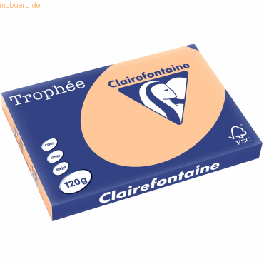 3329680127607 - 5 x Kopierpapier Trophee A3 120g qm VE=250 Blatt apriko