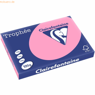 3329680127805 - 5 x Kopierpapier Trophee A3 120g qm VE=250 Blatt hecken