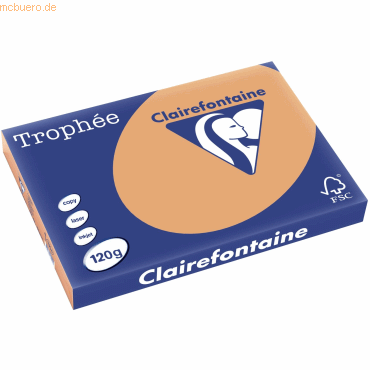 3329680130409 - 5 x Kopierpapier Trophee A3 120g qm VE=250 Blatt camel