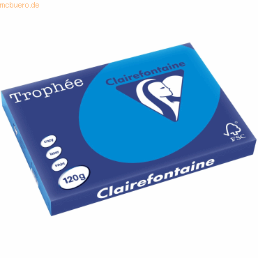 3329680138108 - 5 x Kopierpapier Trophee A3 120g qm VE=250 Blatt karibi