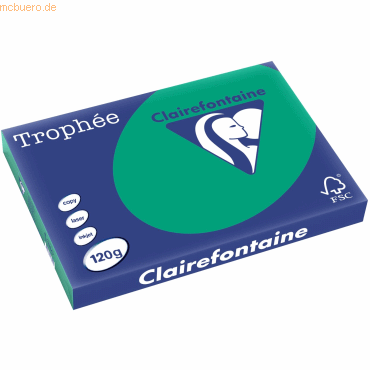 3329680138405 - 5 x Kopierpapier Trophee A3 120g qm VE=250 Blatt tannen