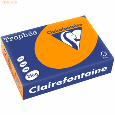 3329680176704 - 4 x Kopierpapier Trophee A4 210g qm VE=250 Blatt intens