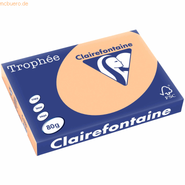 3329680199604 - Kopierpapier Trophee 1996C aprikose A3 80g 3329680199604 500 Blatt 3329680199604 - Kopierpapier Trophee 1996C aprikose A3 80g 3329680199604 500 Blatt