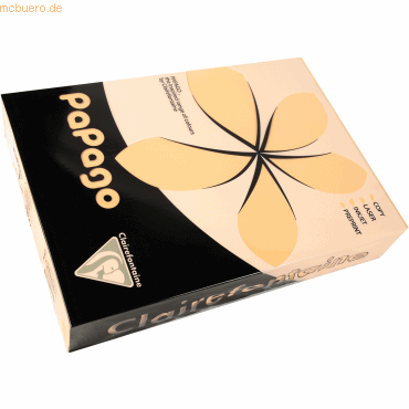 3329680212044 - 5 x Multifunktionspapier Papago A4 210x297mm 80g qm lac 3329680212044 - 5 x Multifunktionspapier Papago A4 210x297mm 80g qm lac