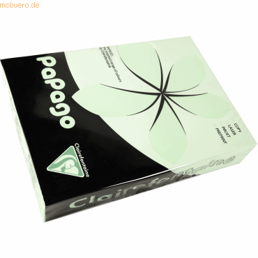 3329680212082 - Multifunktionspapier Papago A4 210x297mm 80g qm hellgrü
