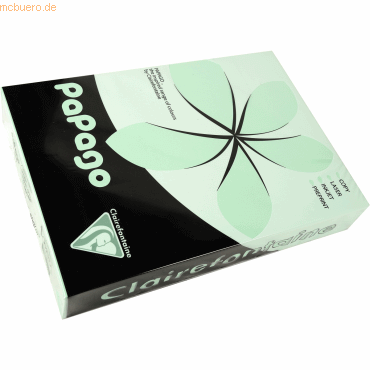 3329680212105 - 5 x Multifunktionspapier Papago A4 210x297mm 80g qm grü