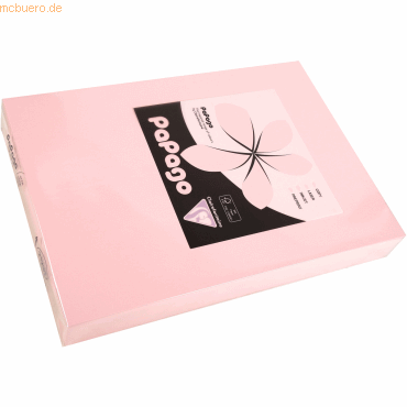 3329680212310 - 5 x Multifunktionspapier Papago A4 210x297mm 120g qm ro 3329680212310 - 5 x Multifunktionspapier Papago A4 210x297mm 120g qm ro