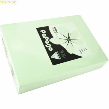 3329680212679 - Multifunktionspapier Papago A4 210x297mm 160g qm hellgr