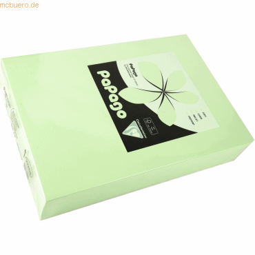 3329680212686 - 4 x Multifunktionspapier Papago A4 210x297mm 160g qm ap