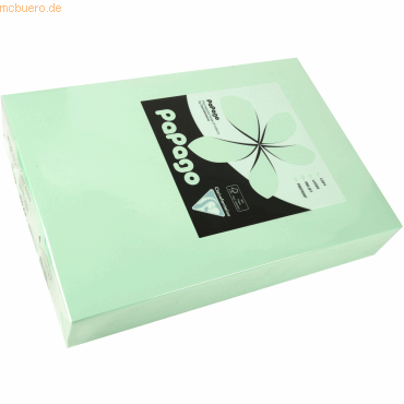 3329680212693 - 4 x Multifunktionspapier Papago A4 210x297mm 160g qm gr