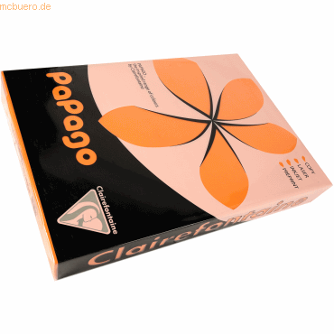 3329680213058 - 5 x Multifunktionspapier Papago A3 420x297mm 80g qm man 3329680213058 - 5 x Multifunktionspapier Papago A3 420x297mm 80g qm man