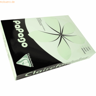 3329680213089 - Multifunktionspapier Papago A3 420x297mm 80g qm hellgrü 3329680213089 - Multifunktionspapier Papago A3 420x297mm 80g qm hellgrü