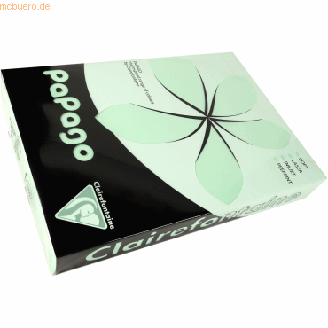 3329680213102 - 5 x Multifunktionspapier Papago A3 420x297mm 80g qm grü 3329680213102 - 5 x Multifunktionspapier Papago A3 420x297mm 80g qm grü
