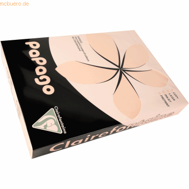 3329680213263 - 5 x Multifunktionspapier Papago A3 420x297mm 80g qm hel 3329680213263 - 5 x Multifunktionspapier Papago A3 420x297mm 80g qm hel