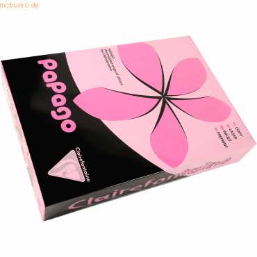 3329680214048 - 5 x Multifunktionspapier Papago Fluo A4 210x297mm 80g q 3329680214048 - 5 x Multifunktionspapier Papago Fluo A4 210x297mm 80g q