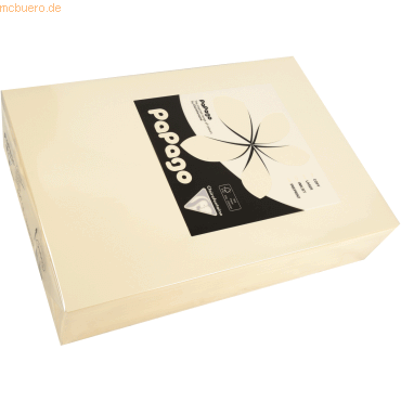 3329680216011 - 4 x Multifunktionspapier Papago A4 210x297mm 100g qm el 3329680216011 - 4 x Multifunktionspapier Papago A4 210x297mm 100g qm el