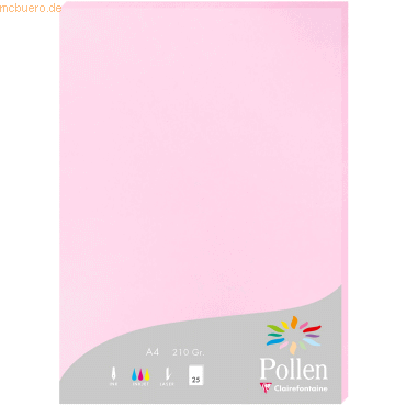 3329680242133 - 10 x Papier Pollen A4 210g 25 Blatt bonbonrosa