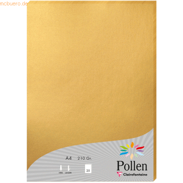 3329680243901 - 10 x Papier Pollen A4 210g 25 Blatt gold