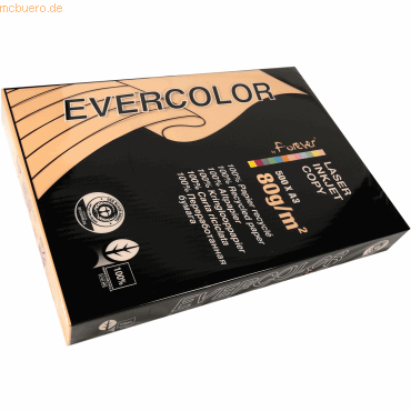 3288580300155 - Recyclingpapier evercolor 30015C lachs A3 80g  3288580300155 500 Stück