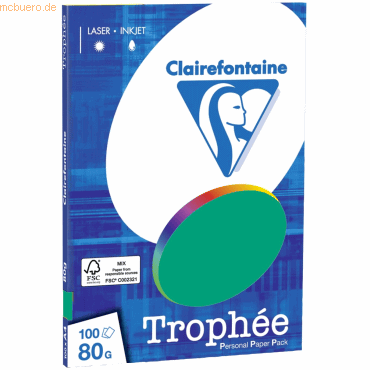 3329680412307 - 10 x Kopierpapier Trophee A4 80g qm 100 Blatt tannengrü