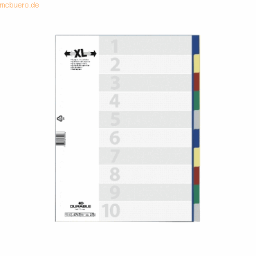 20 x Durable Register A4+ blanko PP 10-teilig farbig
