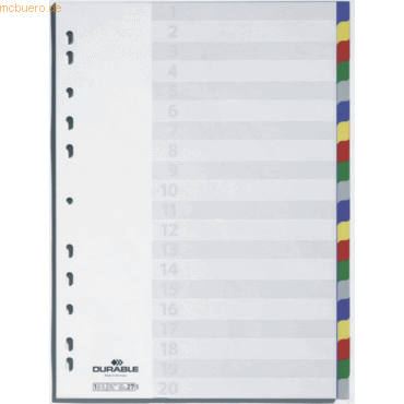 Durable Register A4 blanko PP 20-teilig farbig