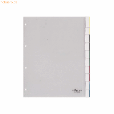 Durable Register A4+ blanko PP 10-teilig transparent