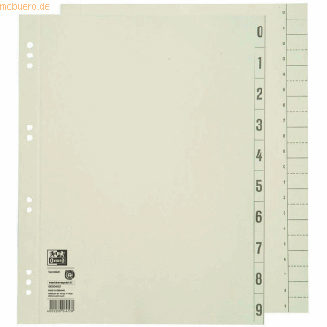 4002030064539 - Trennblätter 400004663 A4 chamois 230g  4002030064539 100 Stück