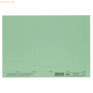 Elba Beschriftungsschild für 4-zeilige Sichtreiter 58x18mm grün VE=10x