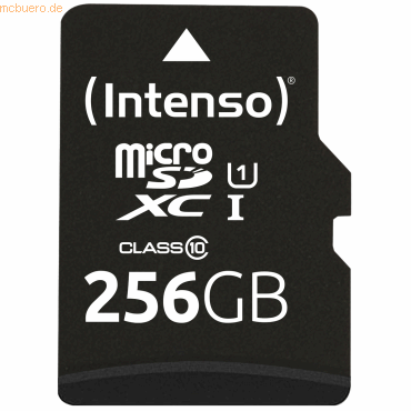 Intenso International Intenso 256GB microSDXC UHS-I Performance