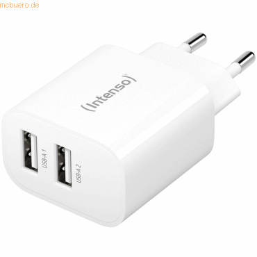 Intenso International Intenso Power Adapter 24W, 2x USB-A