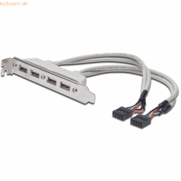 Assmann DIGITUS USB Slotblechkabel, 4x Typ A-2x10pin IDC Bu/Bu 0.25m