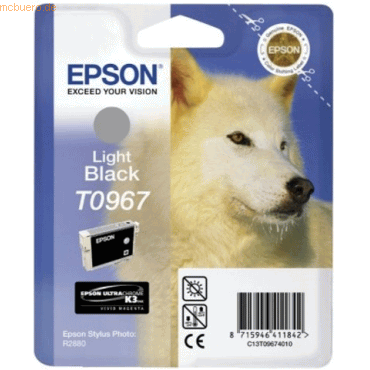 Epson Tintenpatrone Epson T09674010 schwarz light