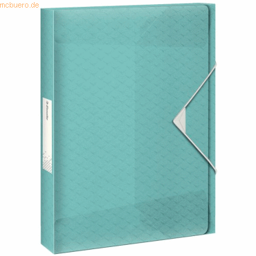 4049793053189 - Ablagebox ColourIce DIN A4 PP blau 40 mm