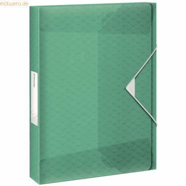 4049793053196 - Ablagebox ColourIce DIN A4 PP grün 40 mm