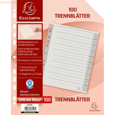 3130634381460 - Trennblätter 381460B A4 chamois grau 230g Karton 31306343814 3130634381460 - Trennblätter 381460B A4 chamois grau 230g Karton 31306343814