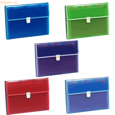 3130630559894 - 5 x Fächermappe A4 13 Fächer farbig sortiert 3130630559894 - 5 x Fächermappe A4 13 Fächer farbig sortiert