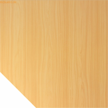 4032062137130 - Verbindungsplatte höhenverstellbar Gradeo buche weiß Trapezform 1200 x 800 x 655 - 825 cm