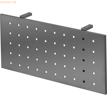 4032062167892 - PRO RSI 08 G Sichtblende zu REGO - Zubehör 80 cm Graphit